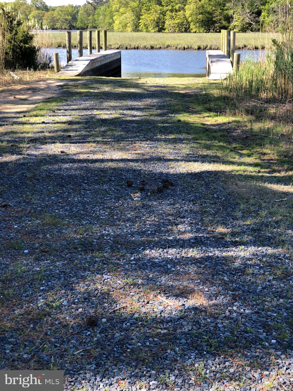 COVINGTON COVE - Land