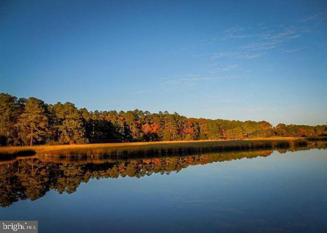 COVINGTON COVE - Land