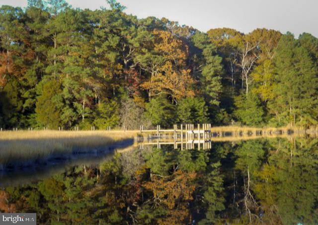 COVINGTON COVE - Land