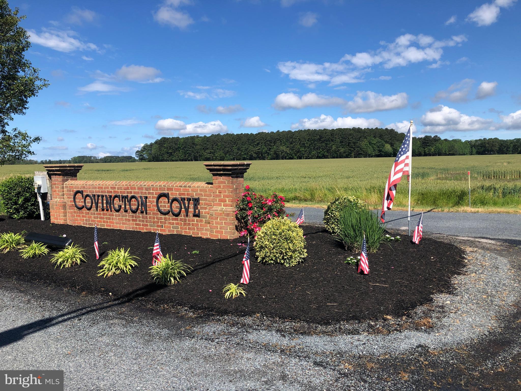 COVINGTON COVE - Land