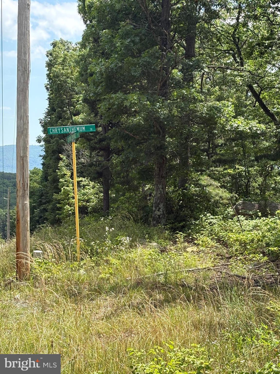 Lot 57 CHRYSANTHEMUM TRAIL