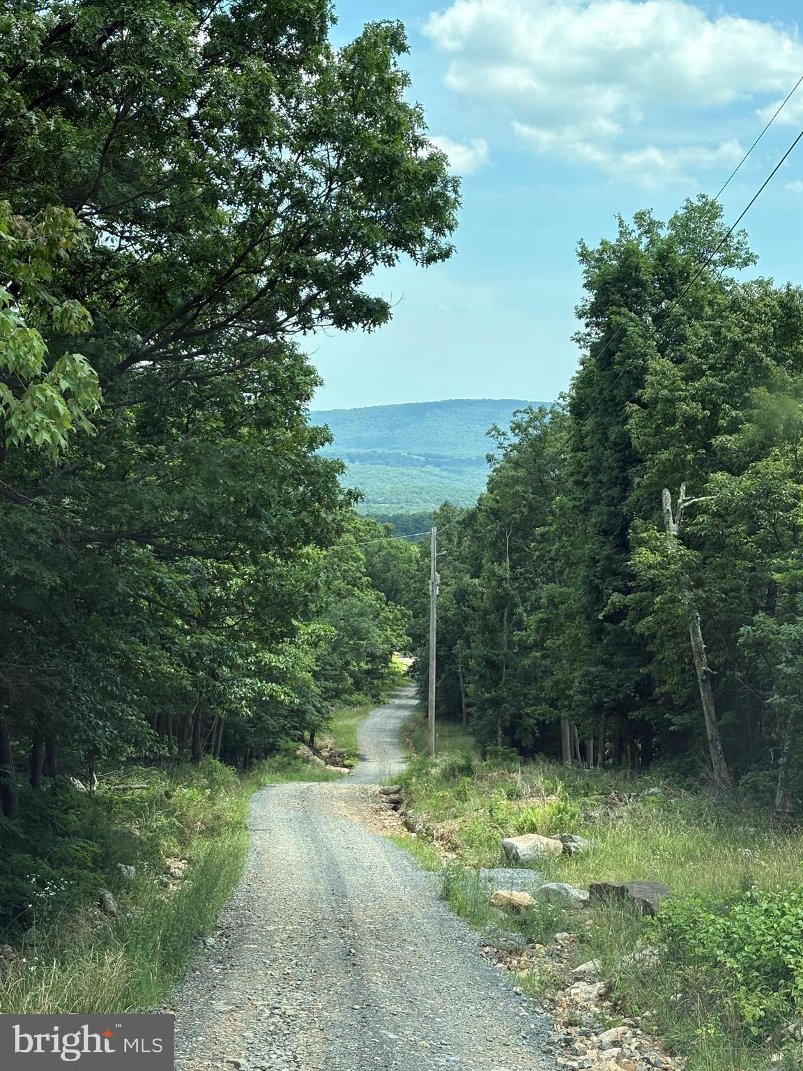 Lot 57 CHRYSANTHEMUM TRAIL