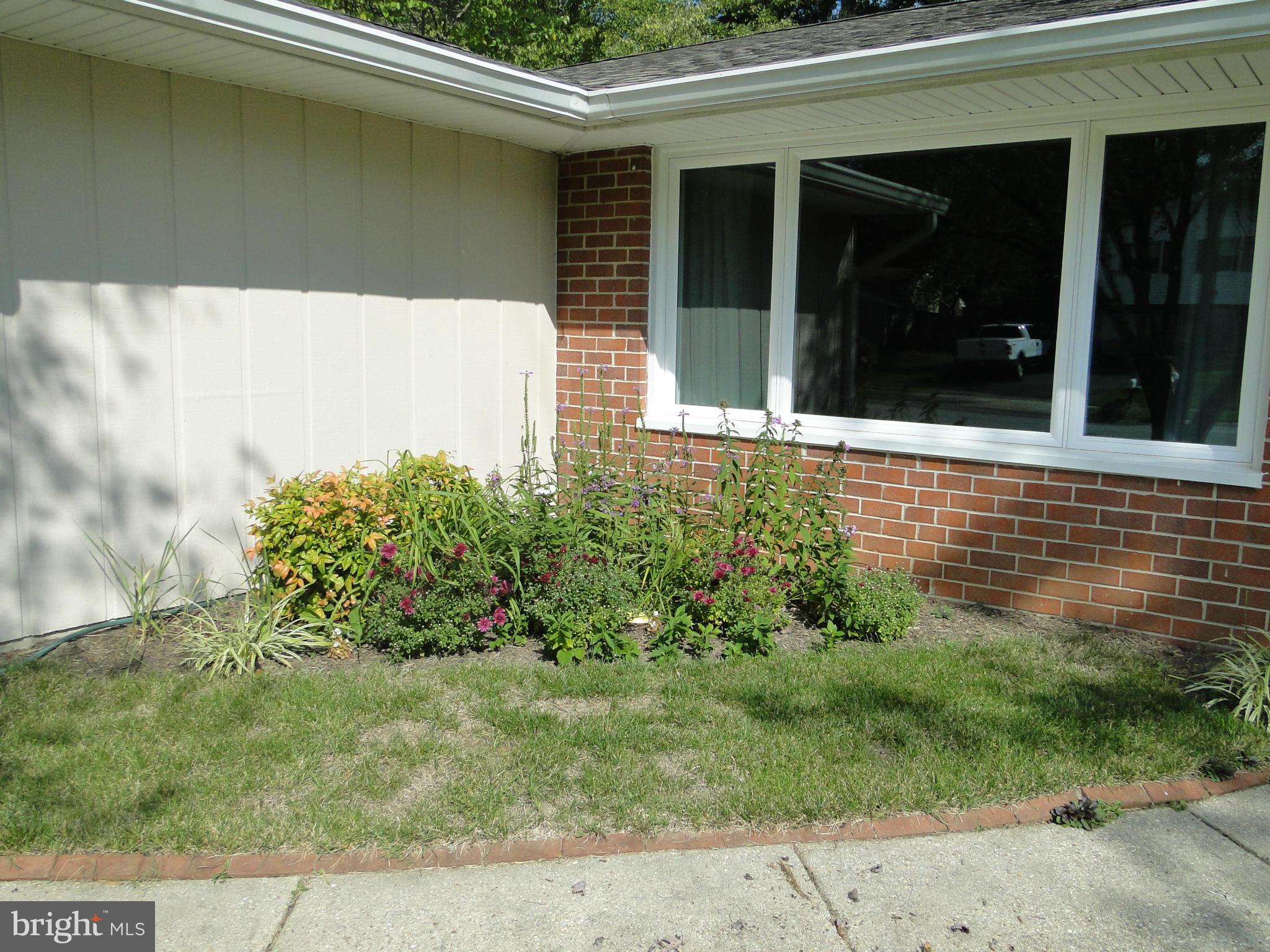 PINEFIELD - Residential