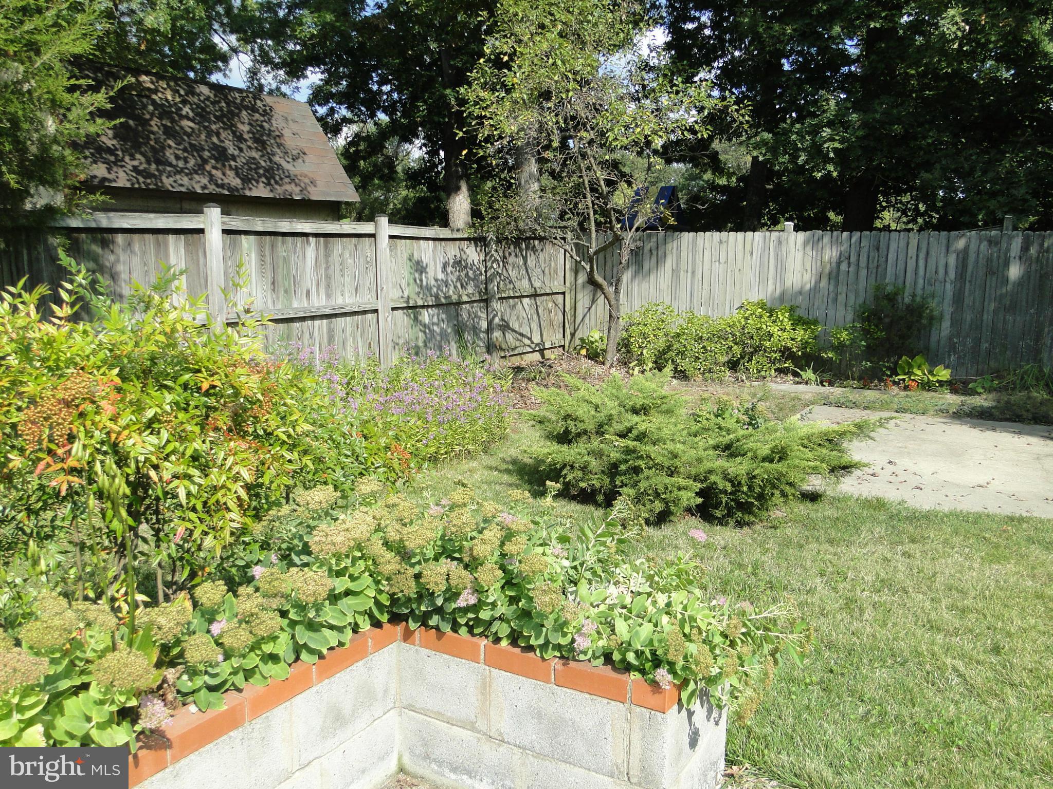 PINEFIELD - Residential