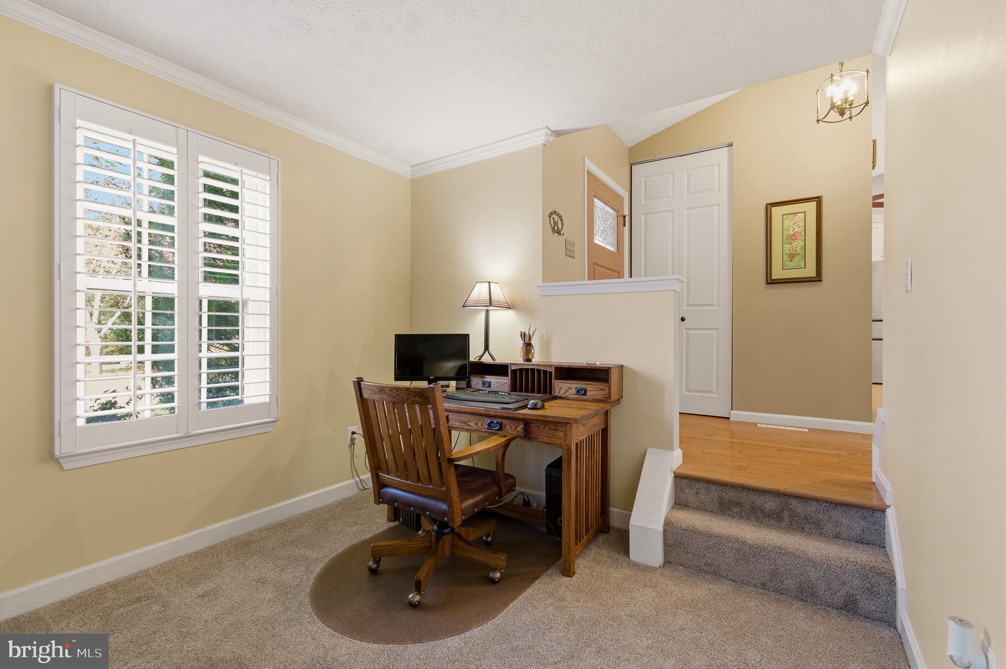 BRAMPTON HILLS - Residential