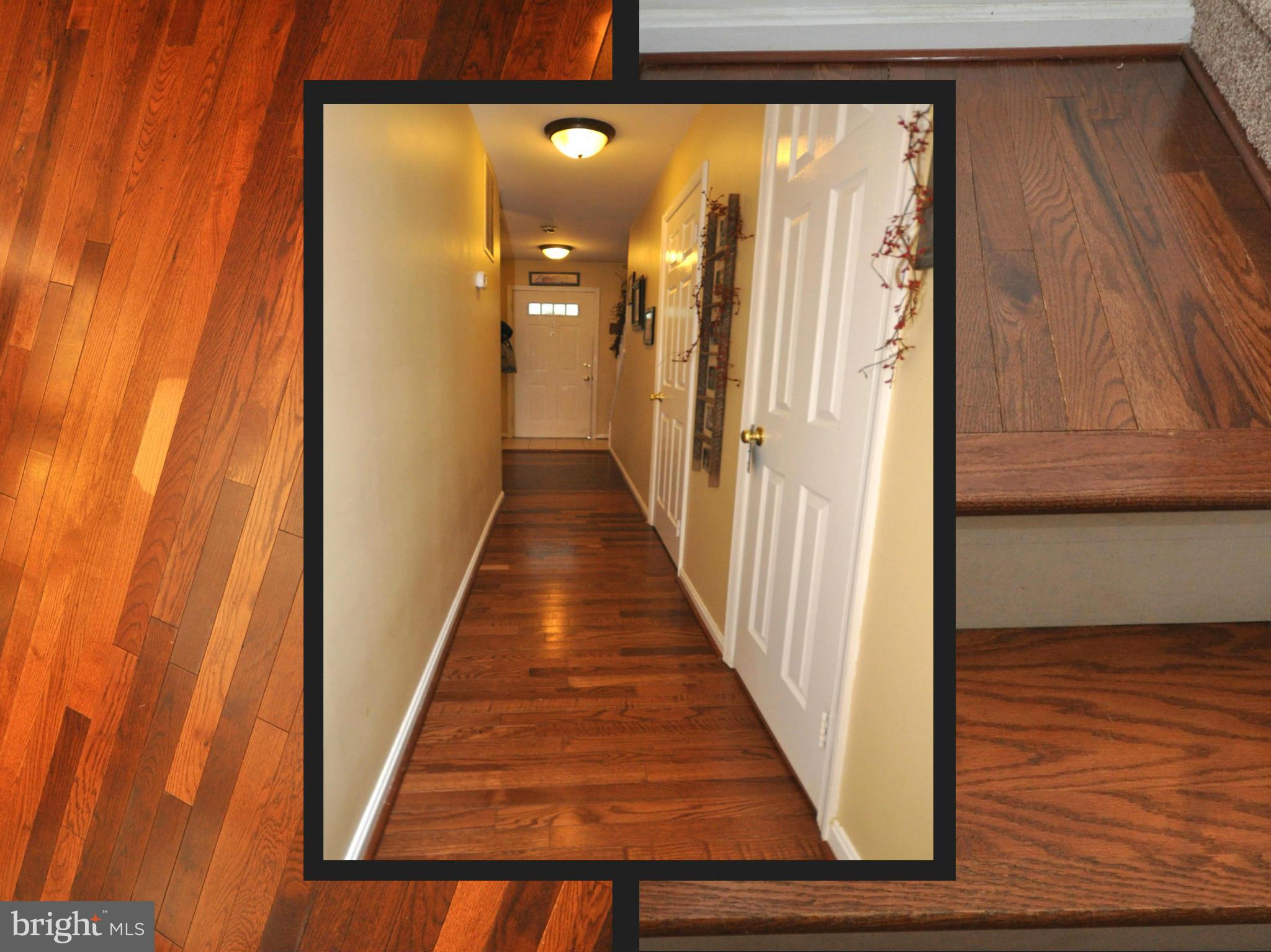 LITTLE ROCKY RUN - Residential