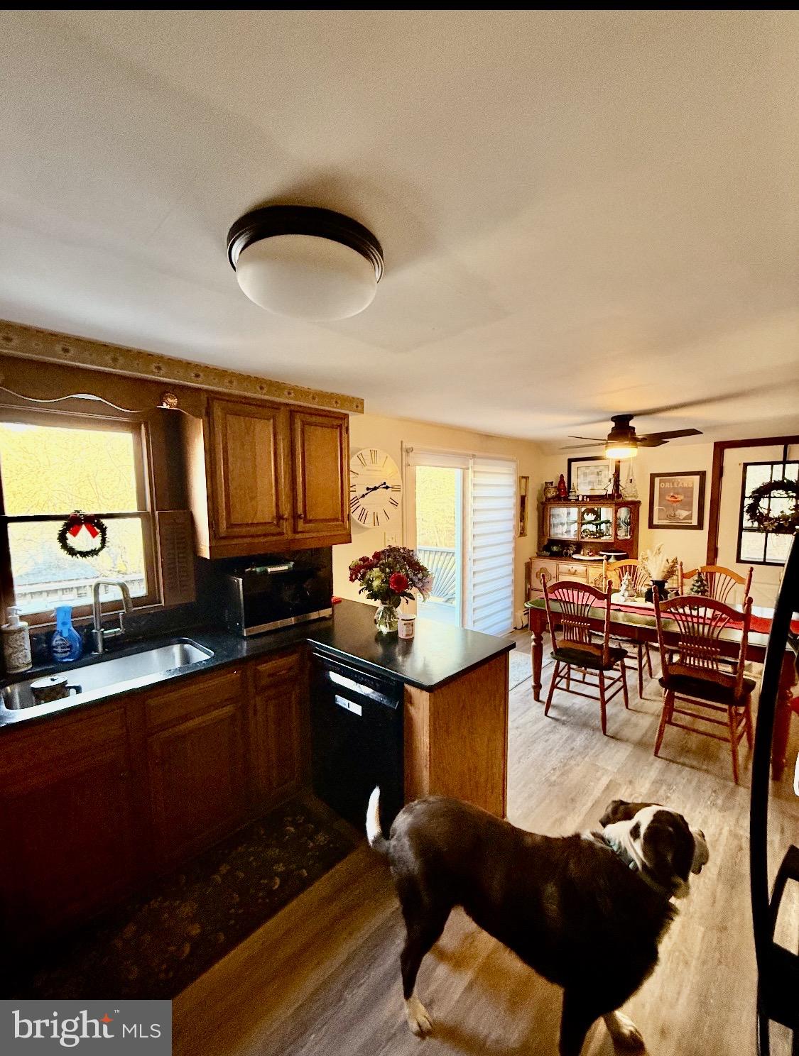 UPPER BLACK EDDY - Residential Lease