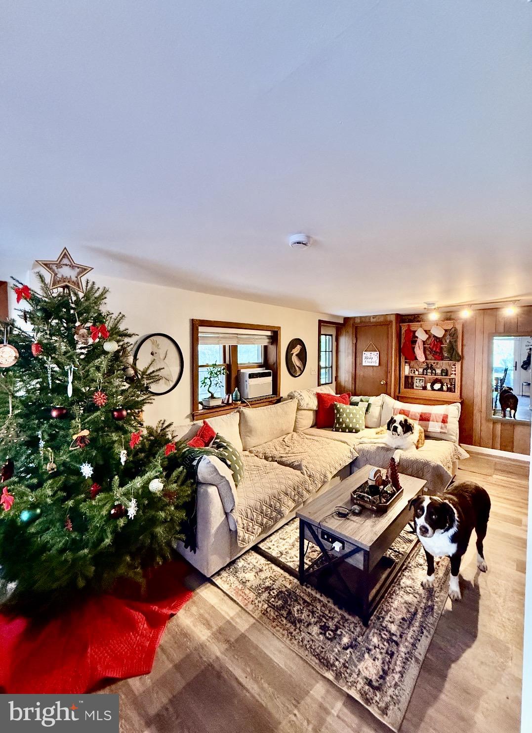 UPPER BLACK EDDY - Residential Lease