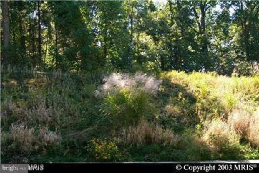 2.0 ACRE LOT ZONED MIXED-USE OFF MATHEWS ROAD (50 FOOT RIGHT-OF-WAY TO LOT).  NEAR PROPOSED BRYANS ROAD TOWN CENTER. IDEAL SITE FOR A BUSINESS.