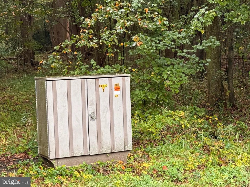 Photo of Black Swamp Road, FELTON, DE 19943 (MLS # DEKT2041770)