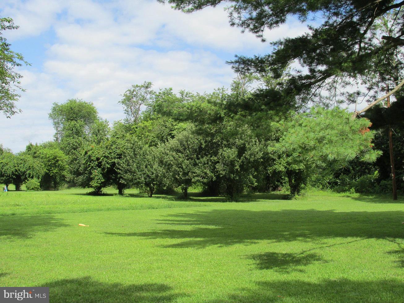 ALAMEDA - Residential