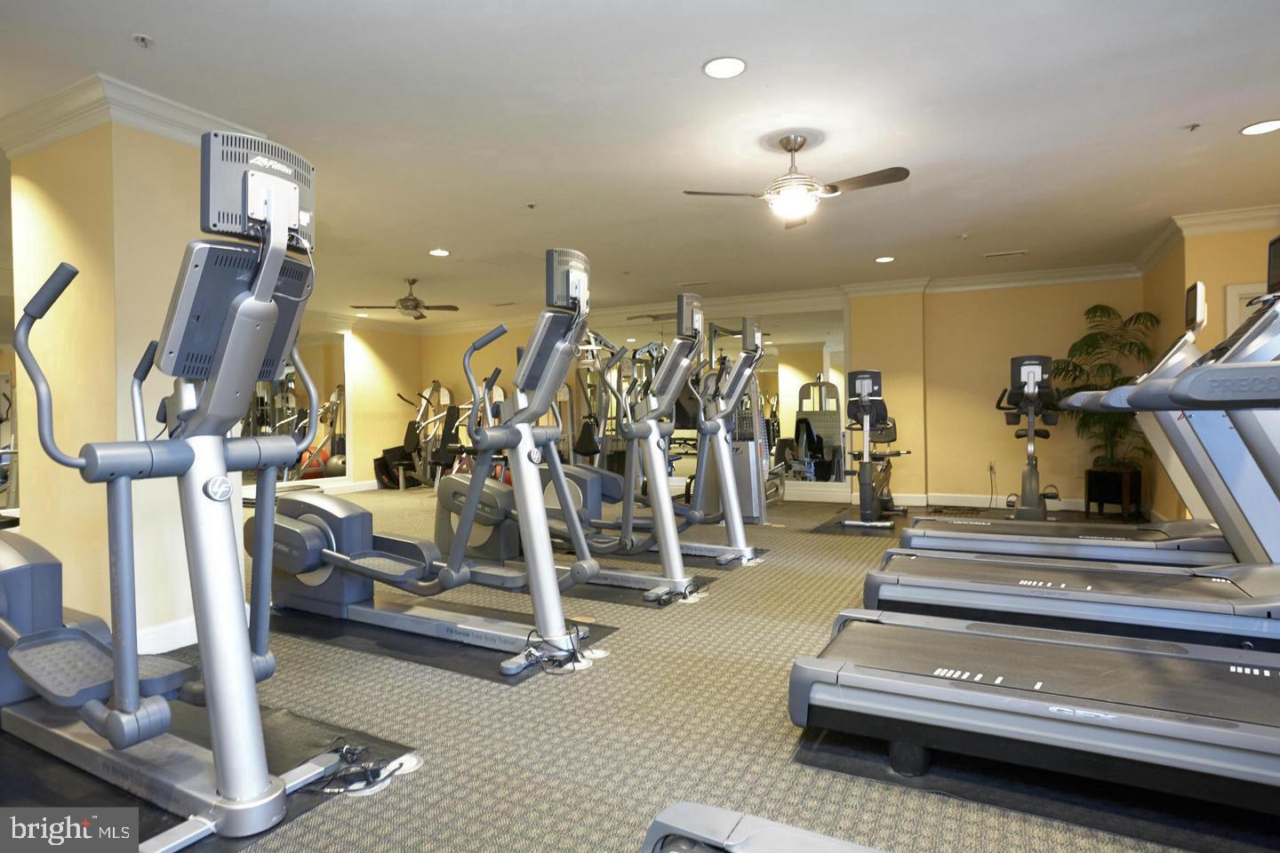 HALSTEAD AT THE METRO - Residential Lease