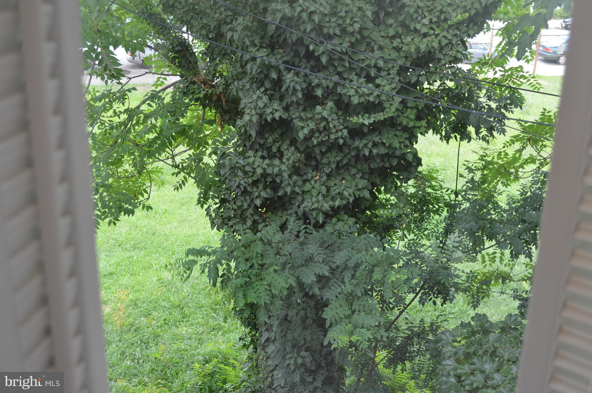 FELLS POINT HISTORIC DISTRICT - Residential
