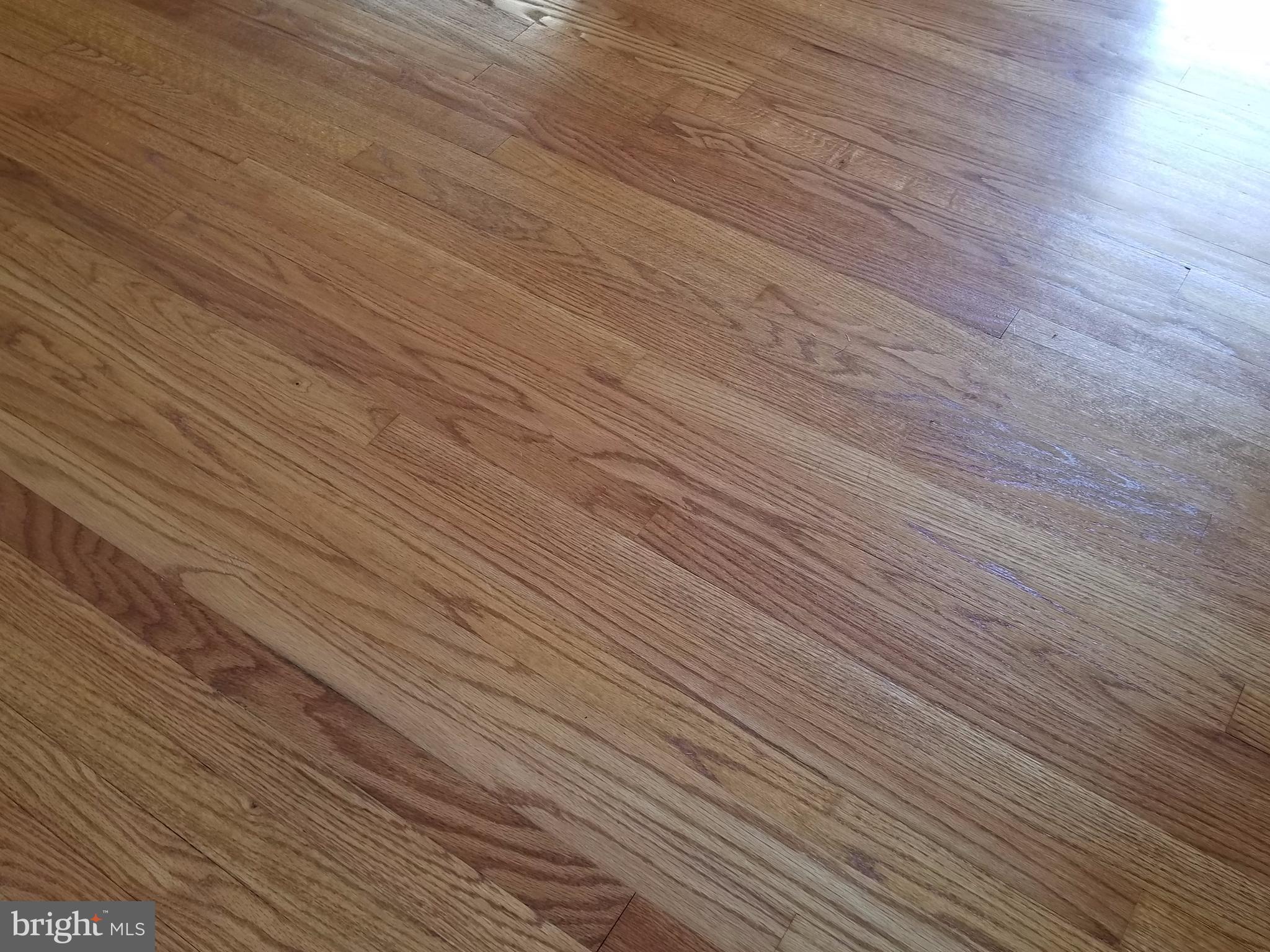 SHIPLEY HEIGHTS - Residential