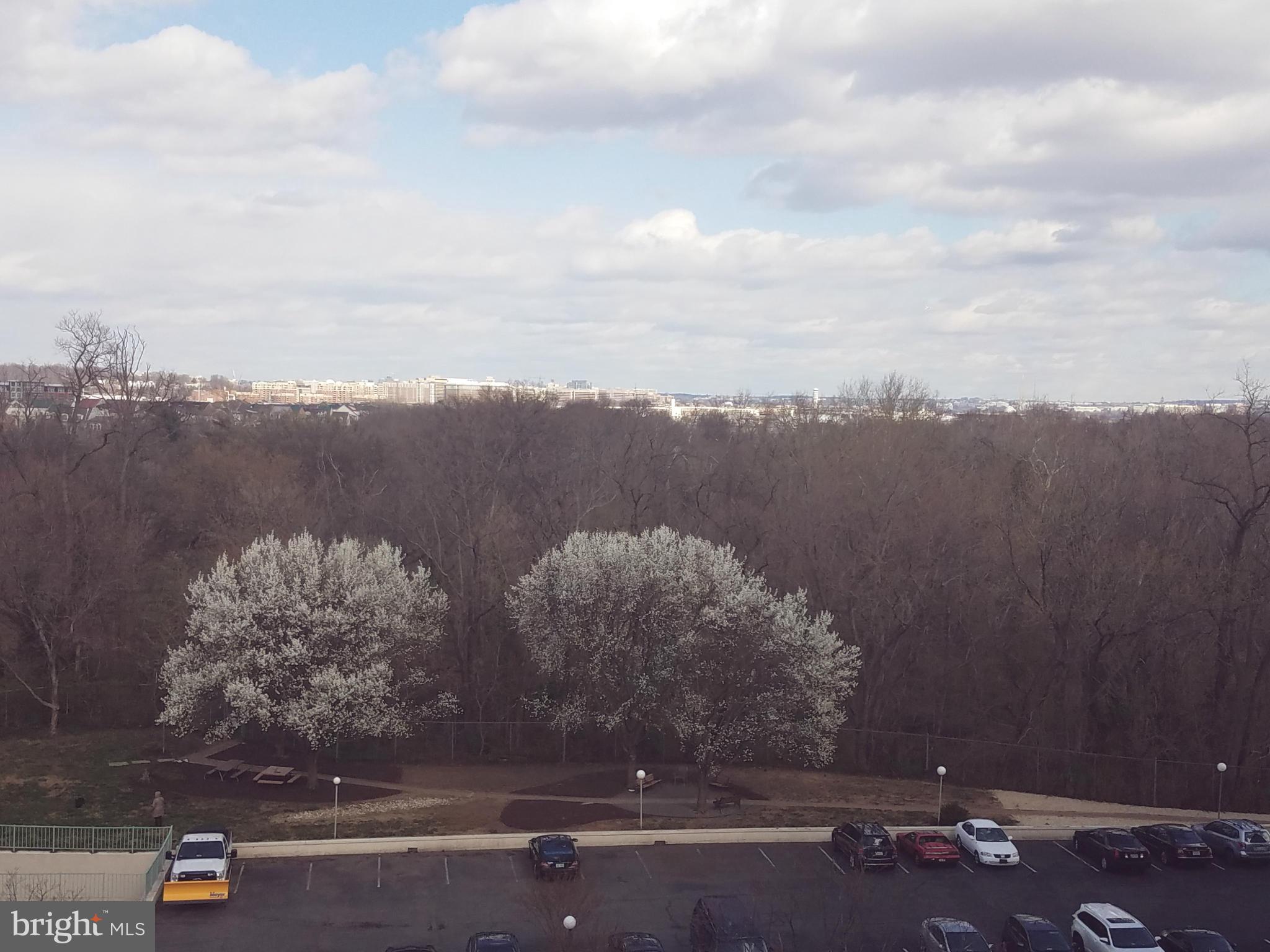 MARINA TOWERS - Residential Lease