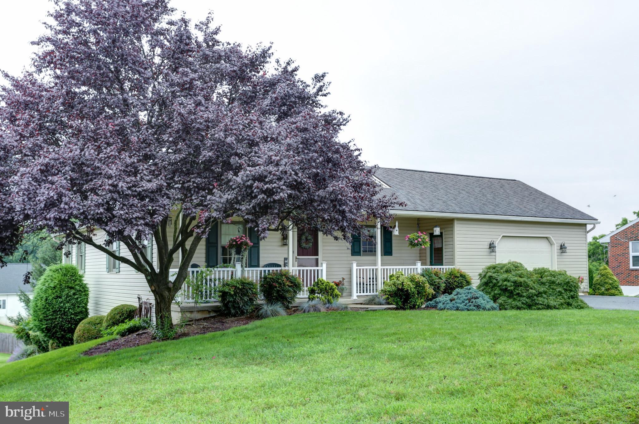 111 SANJO DRIVE