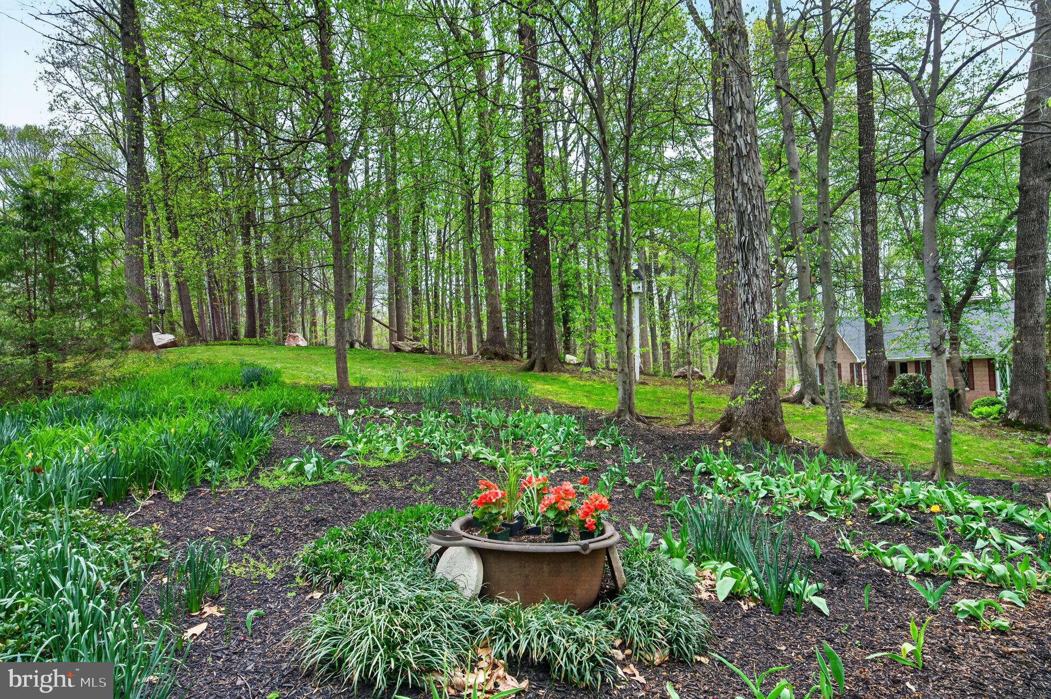 PLANTATION HILLS - Residential