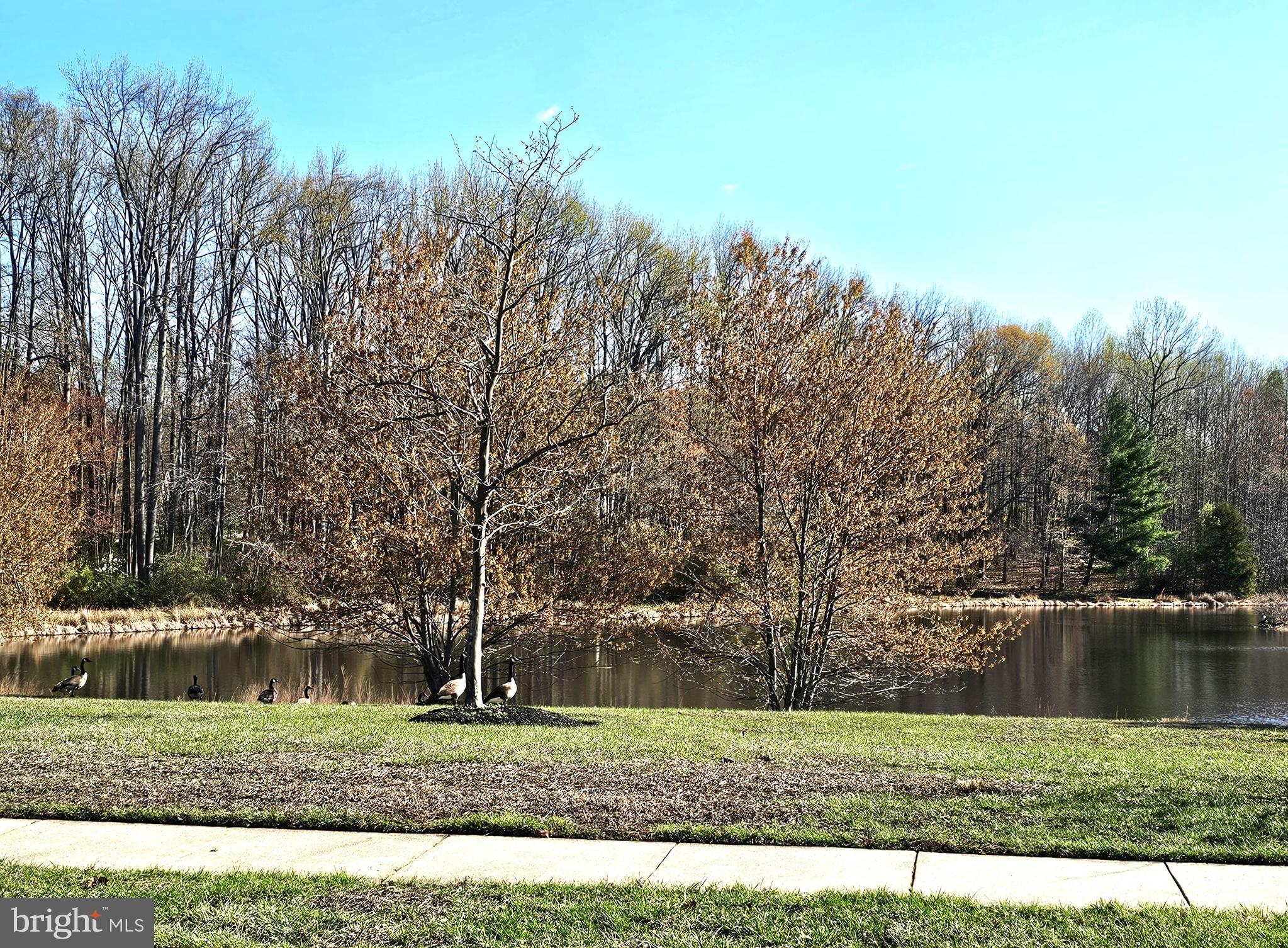 VILLAGES OF ELK NECK WOODHOLME - Land