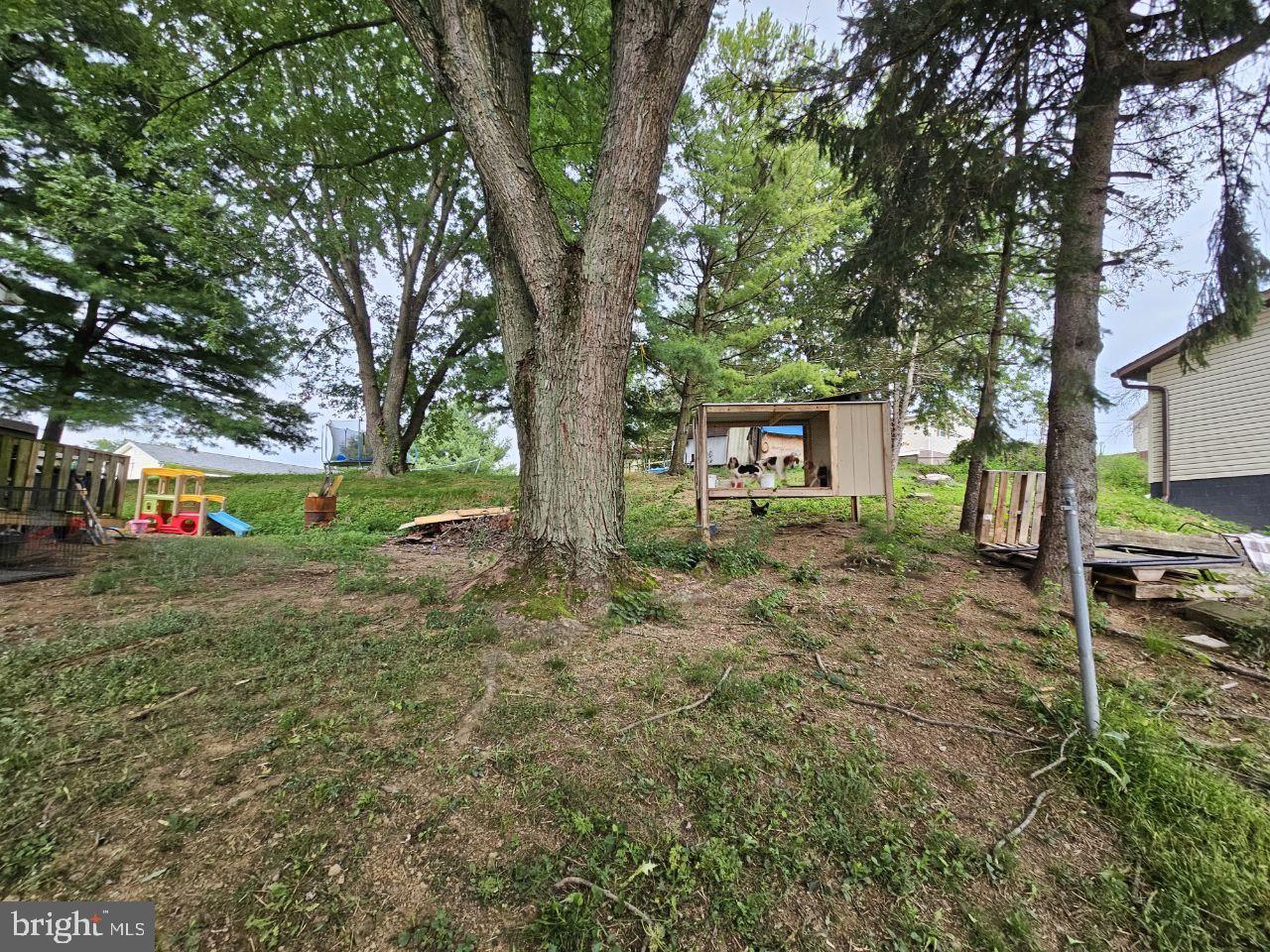 105 PINE KNOLL ACRES - Photo 4