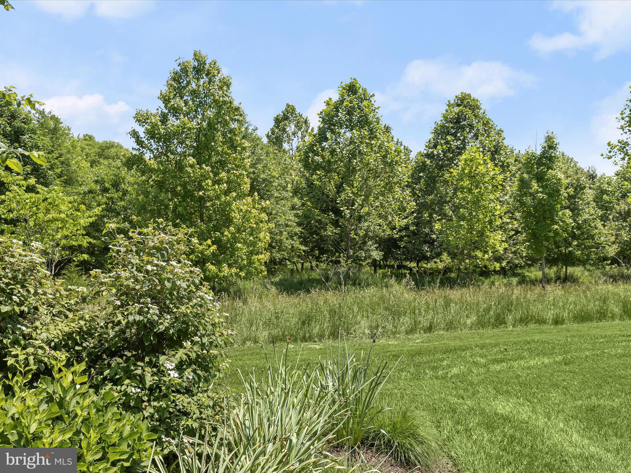 MAPLE LAWN - Residential
