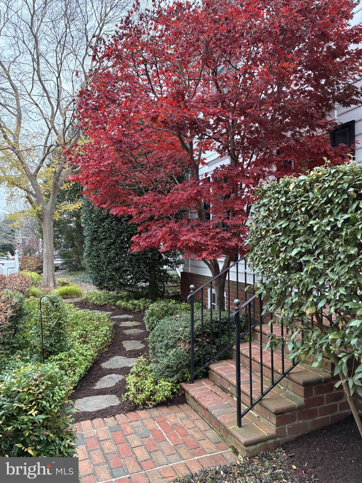 105 THRIFT STREET