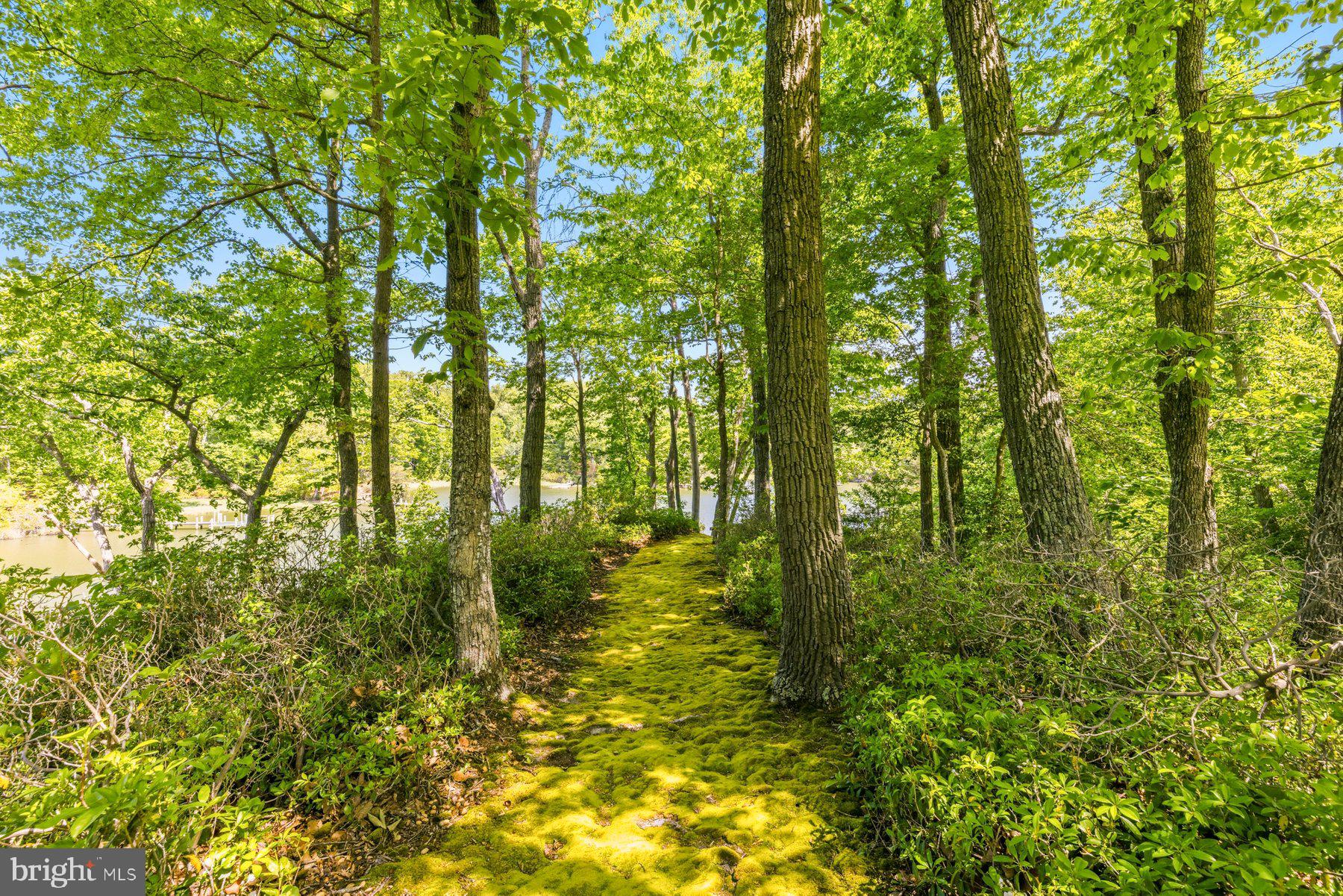 27279 CAT CREEK ROAD