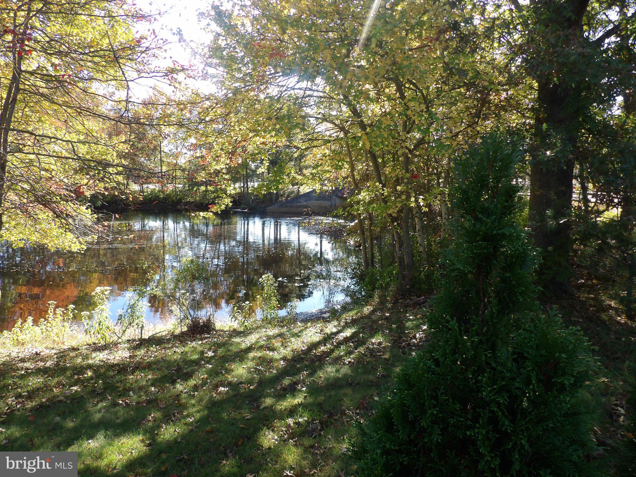 4 BUXTON COURT