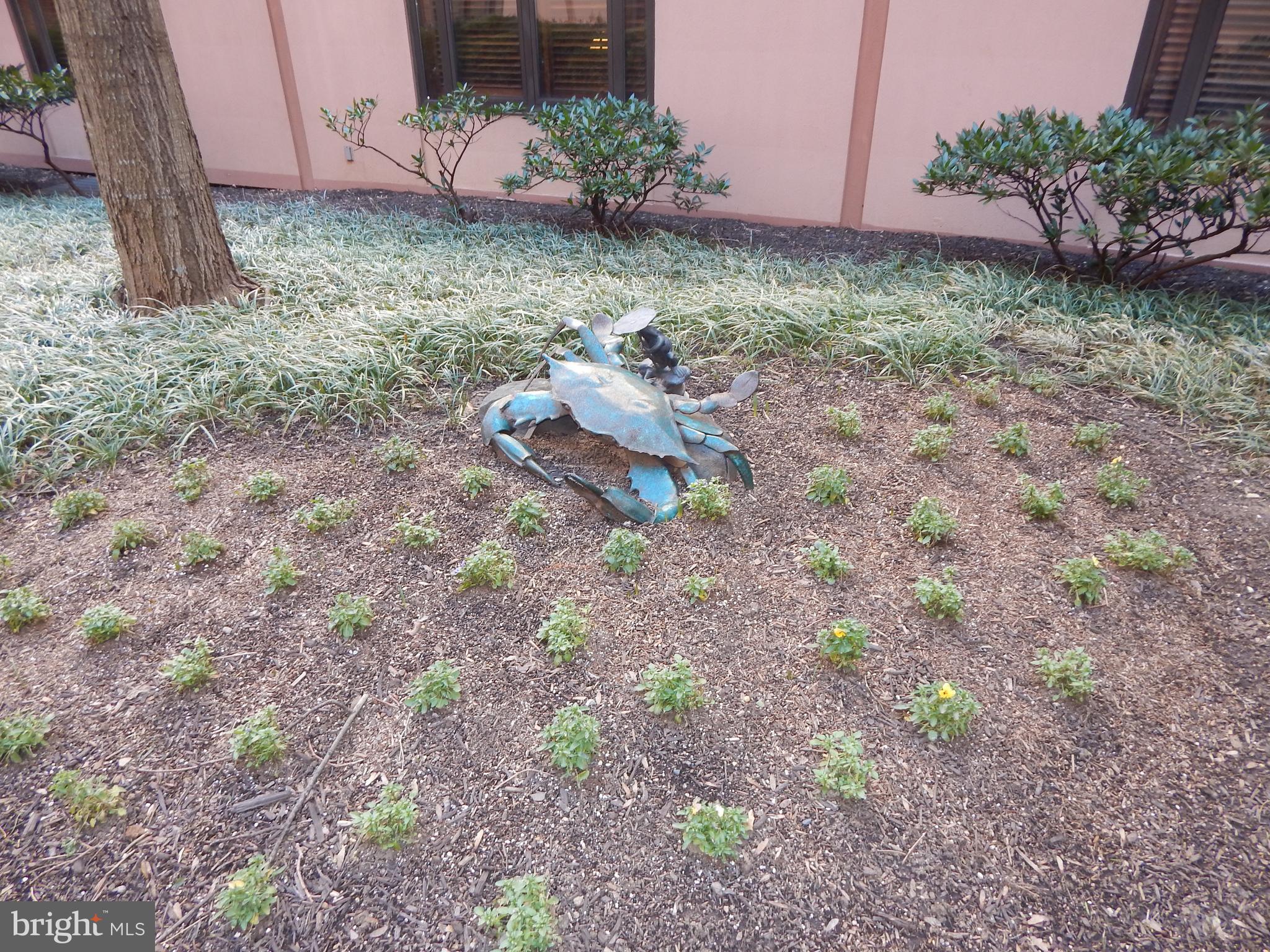 FELLS POINT HISTORIC DISTRICT - Residential