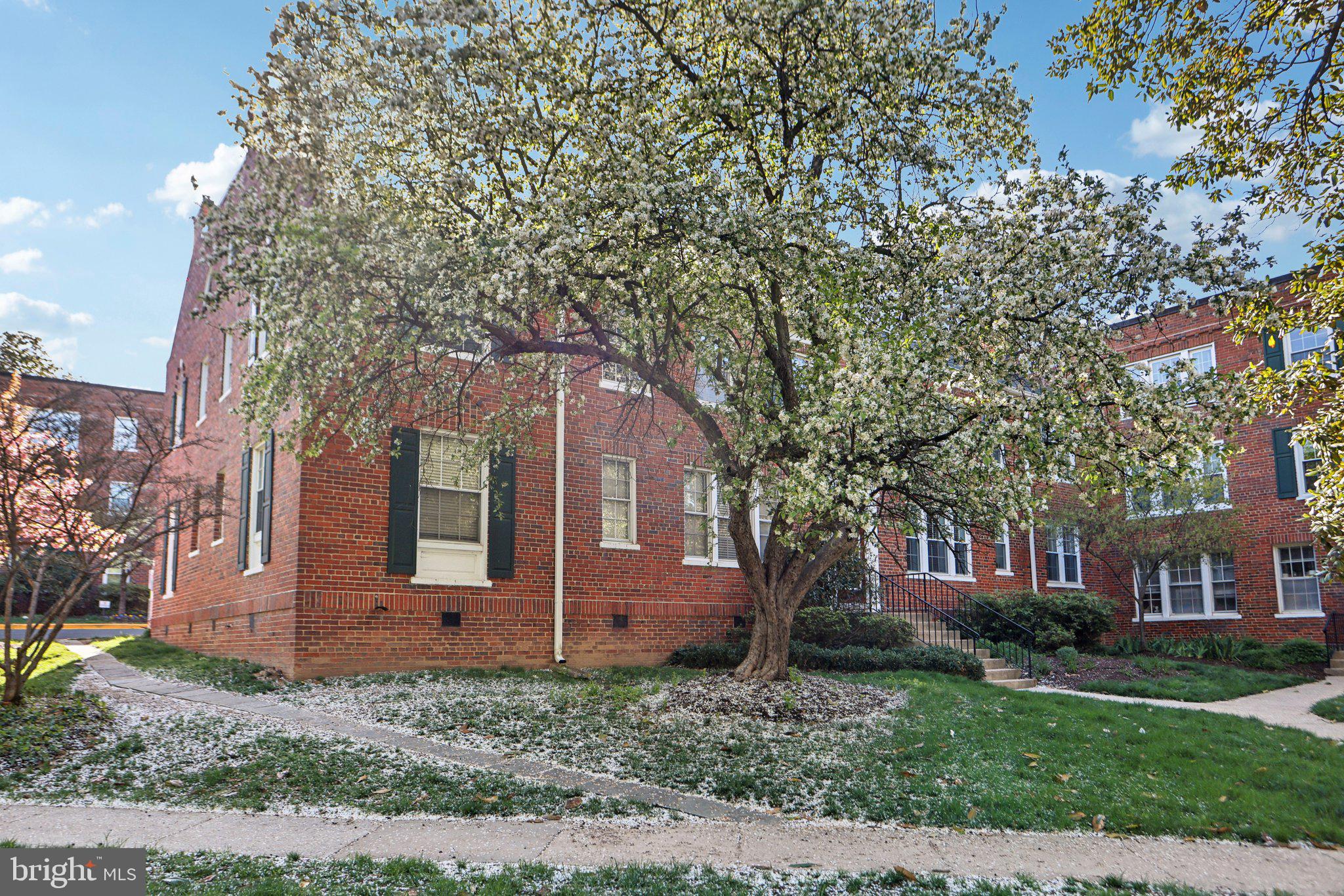 COLONIAL VILLAGE - Residential