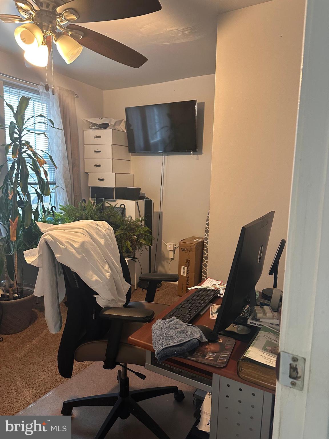 CHESTER CITY - Residential