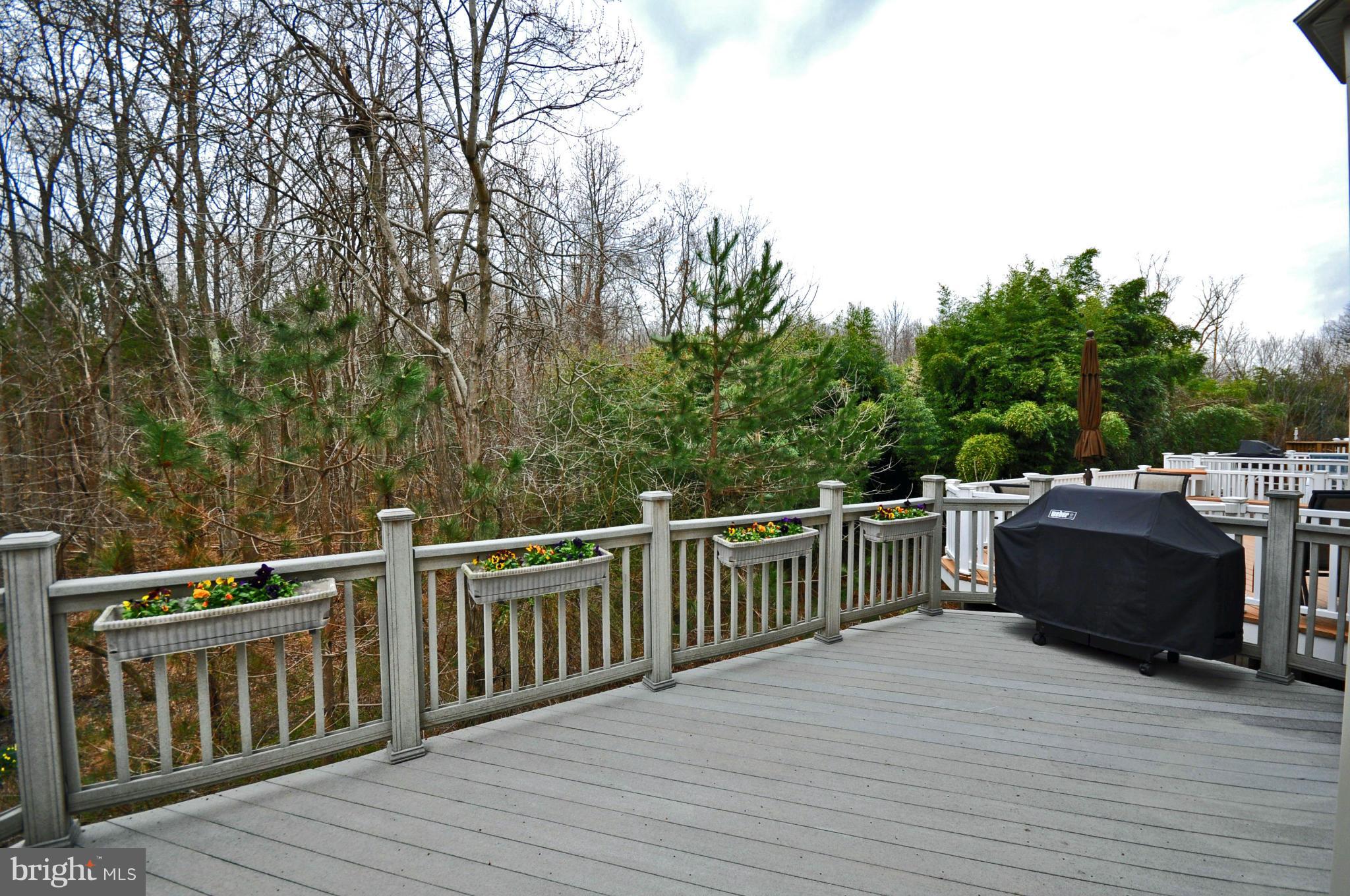 BURKE MILL COVE - Residential