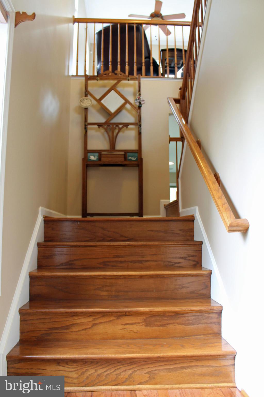 BURKE MILL COVE - Residential