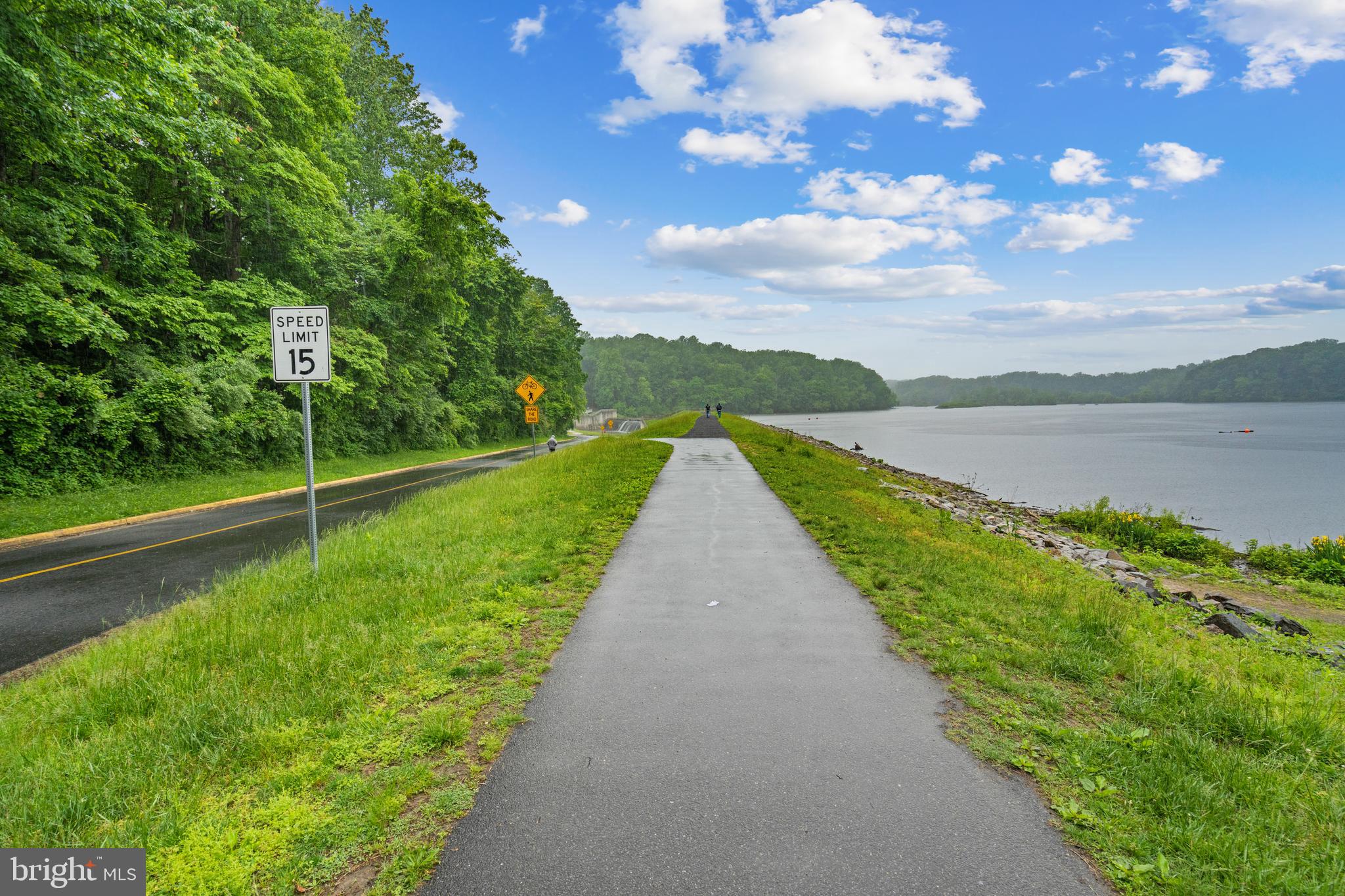 CARDINAL FOREST - Residential