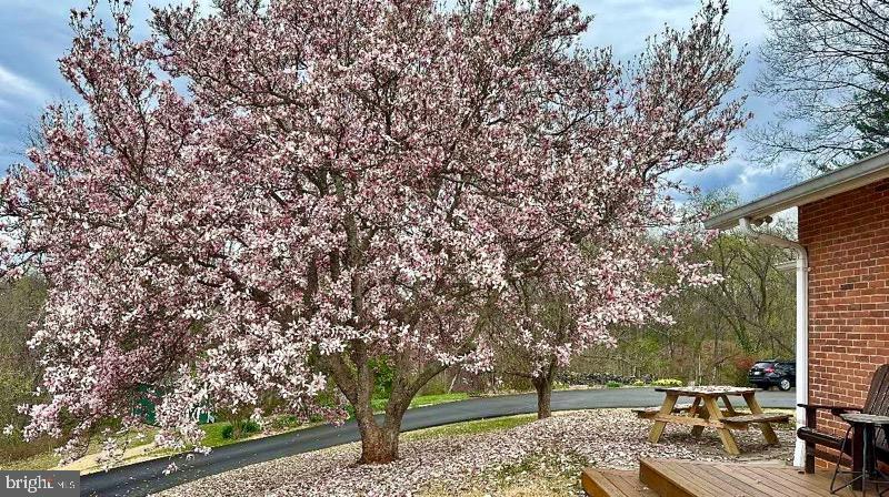 BELMONT - Residential