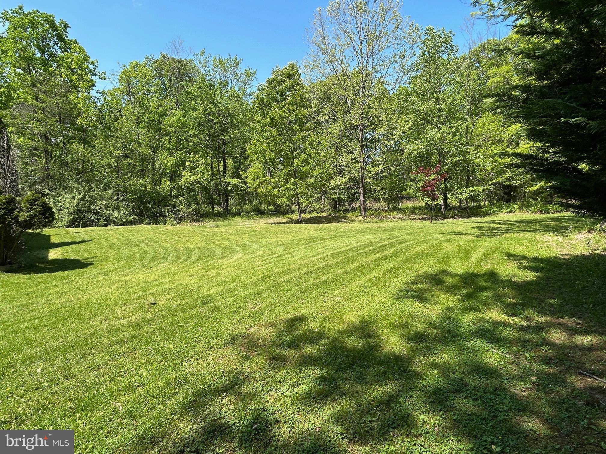 SHEN FARMS MT LAKE - Residential