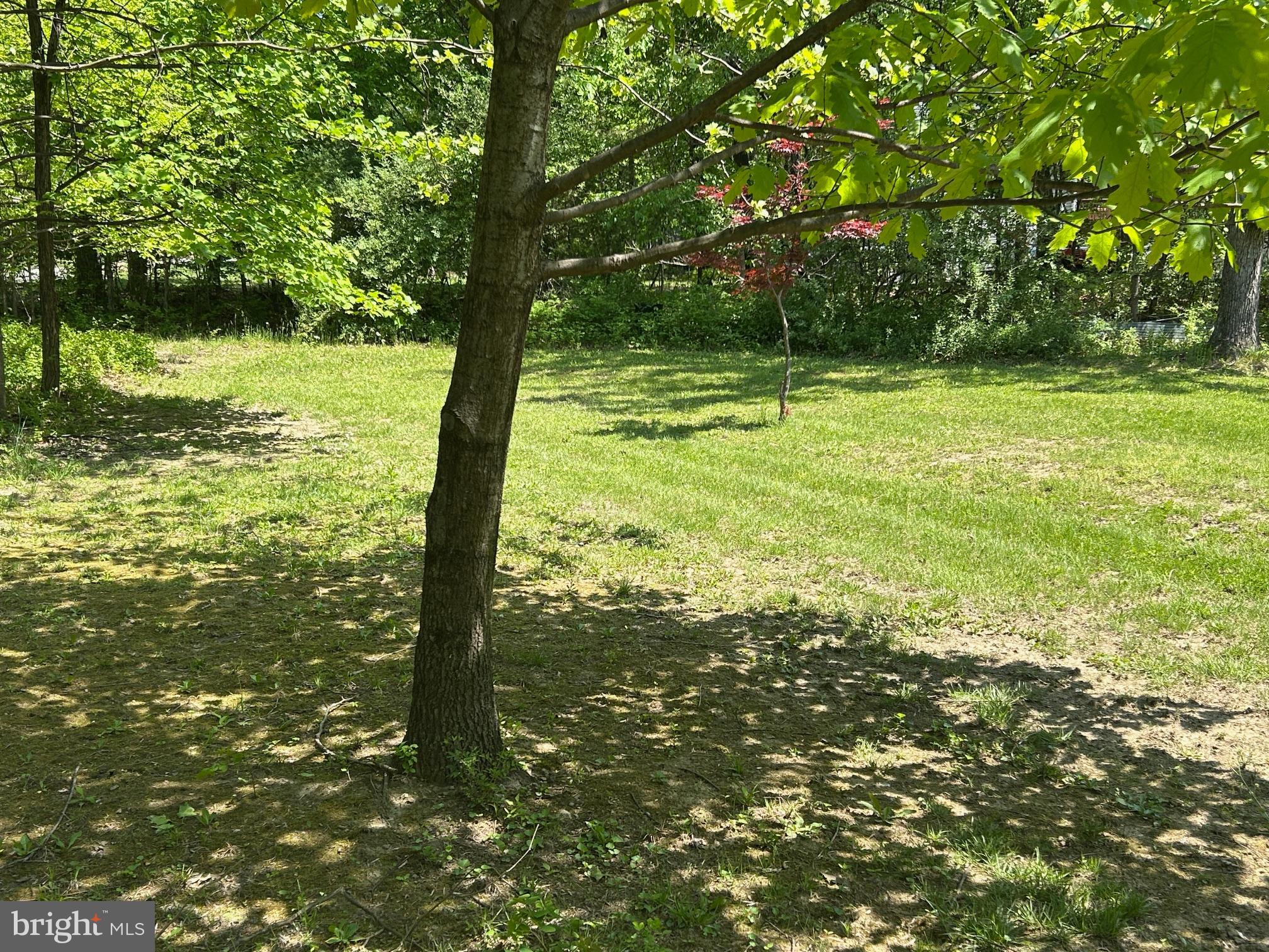 SHEN FARMS MT LAKE - Residential