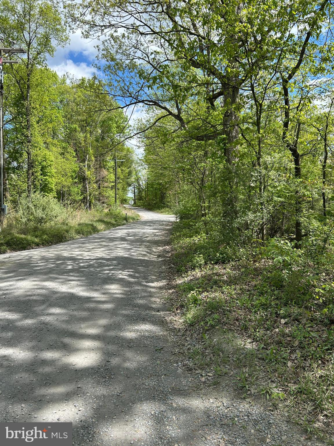 SHEN FARMS MT LAKE - Residential