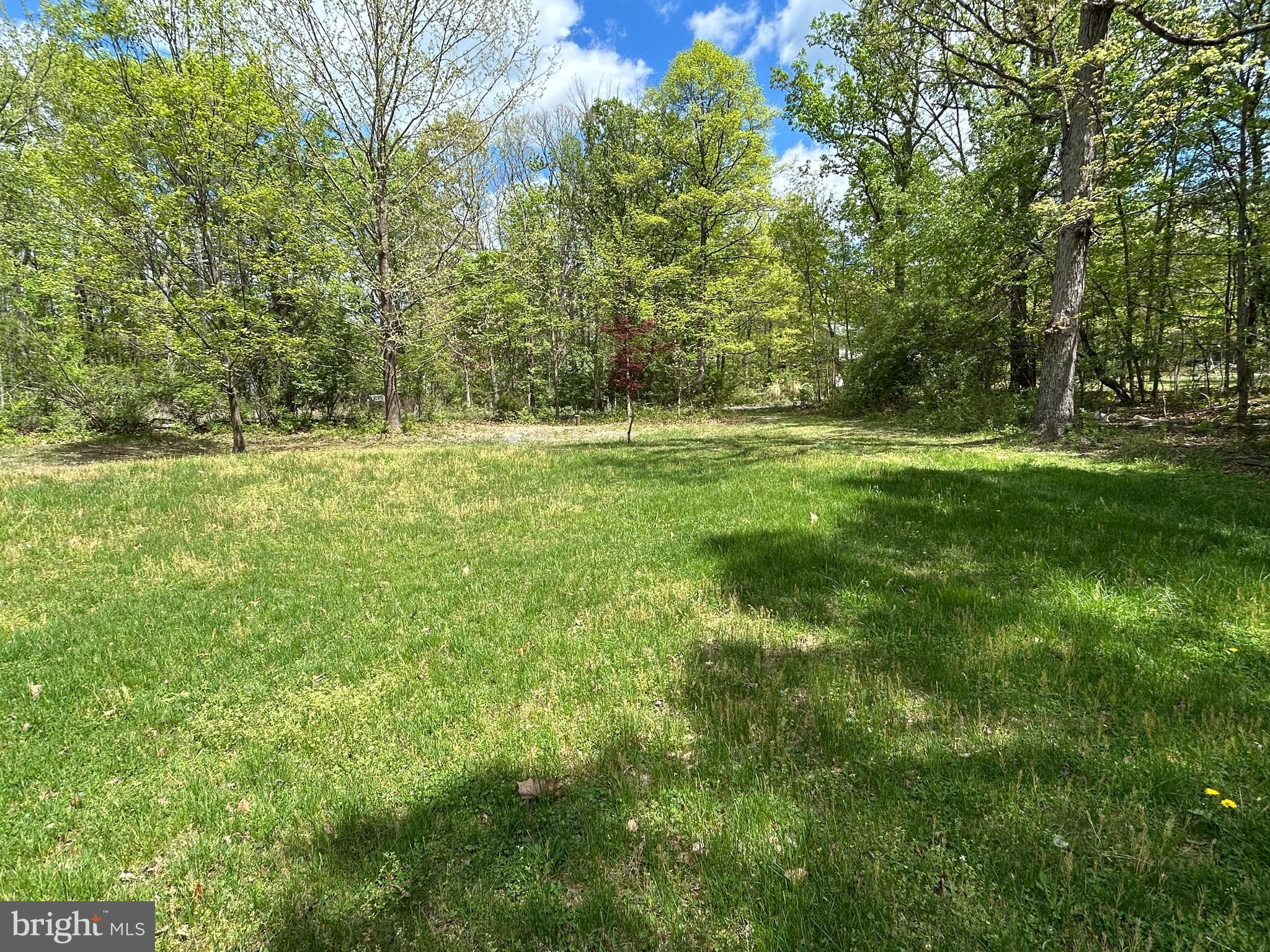 SHEN FARMS MT LAKE - Residential