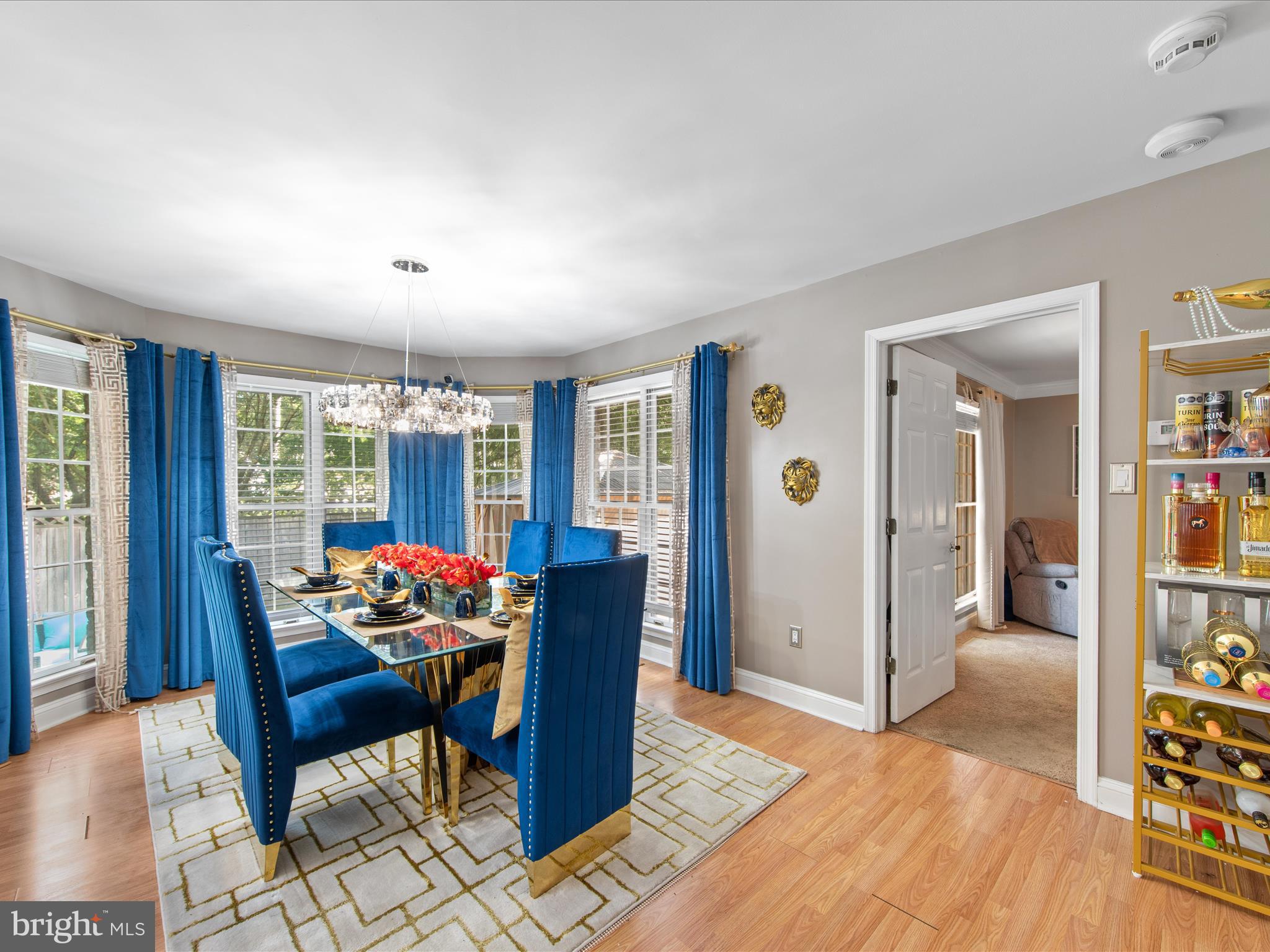 VILLAGE IN THE PARK - Residential