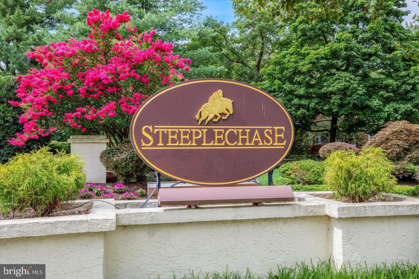 STEEPLECHASE - Residential