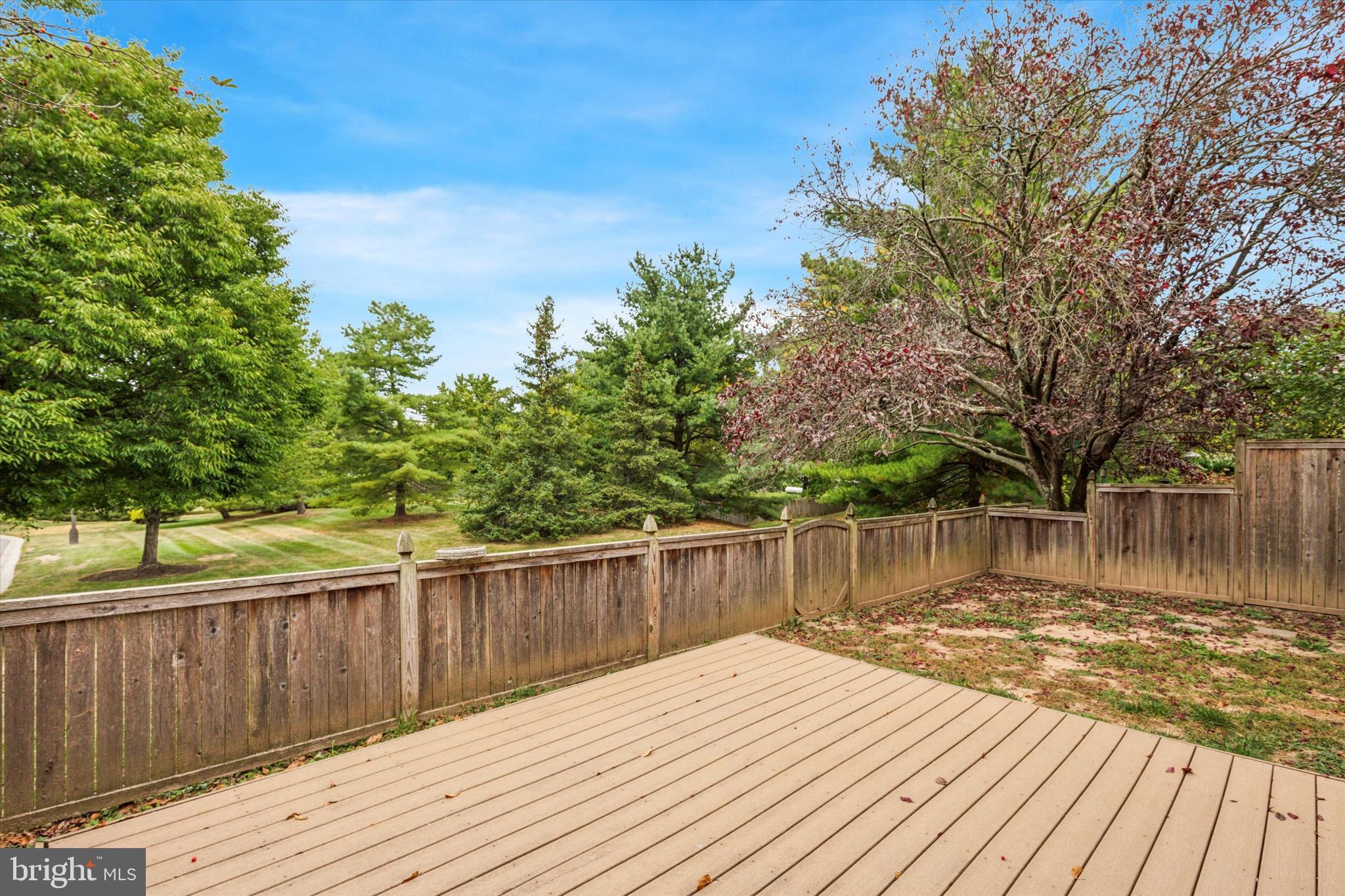 STEEPLECHASE - Residential