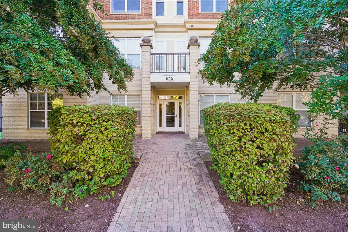 815 BRANCH DRIVE 304
