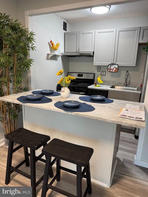 2500 N VAN DORN STREET 1409 ALEXANDRIA VA 22302