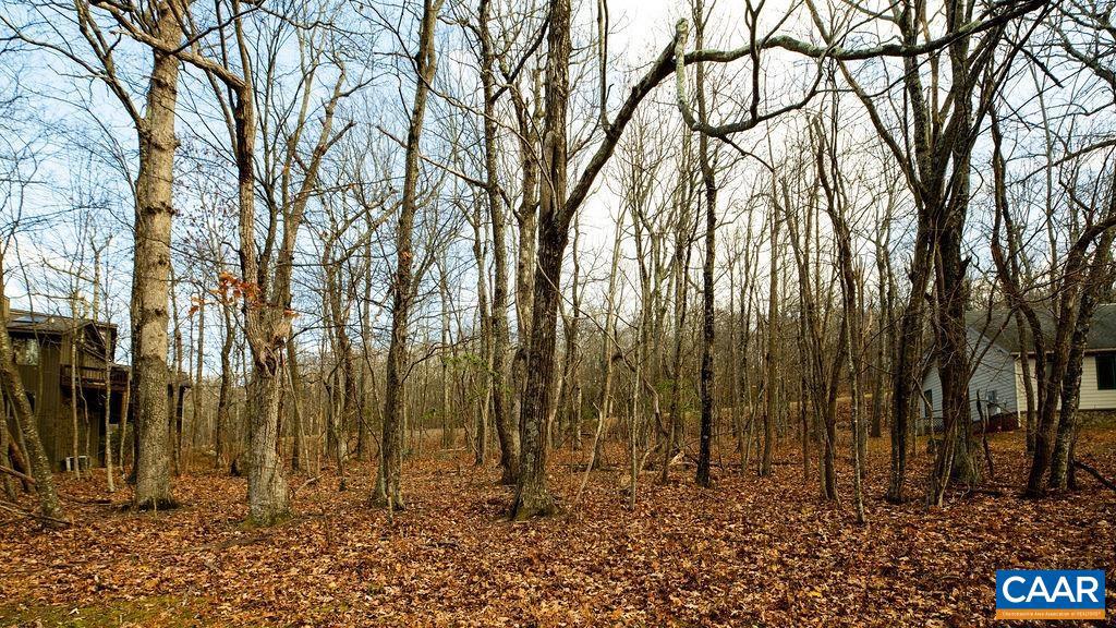 WINTERGREEN RESORT - Land