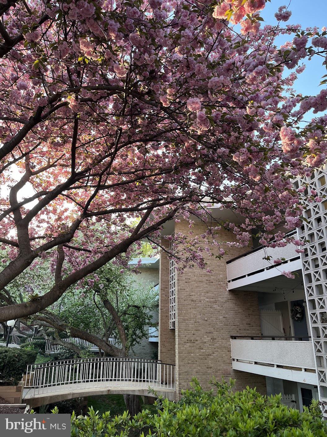 SPRINGLAKE - Residential