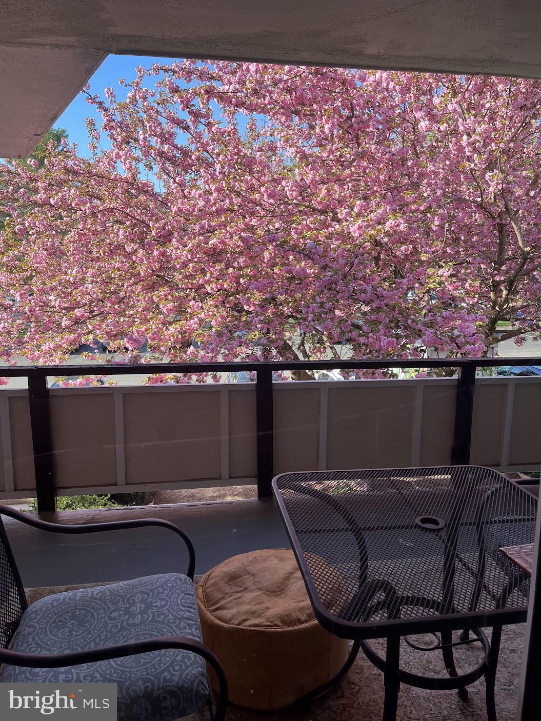 SPRINGLAKE - Residential