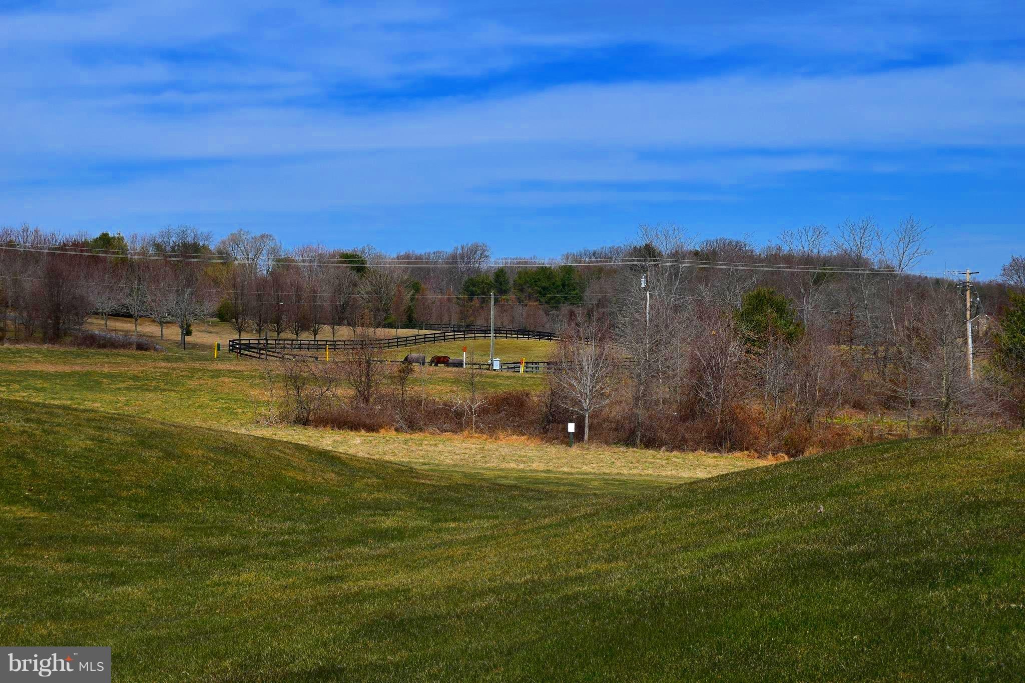 COURTYARDS AT WAVERLY WOODS EAST - Residential