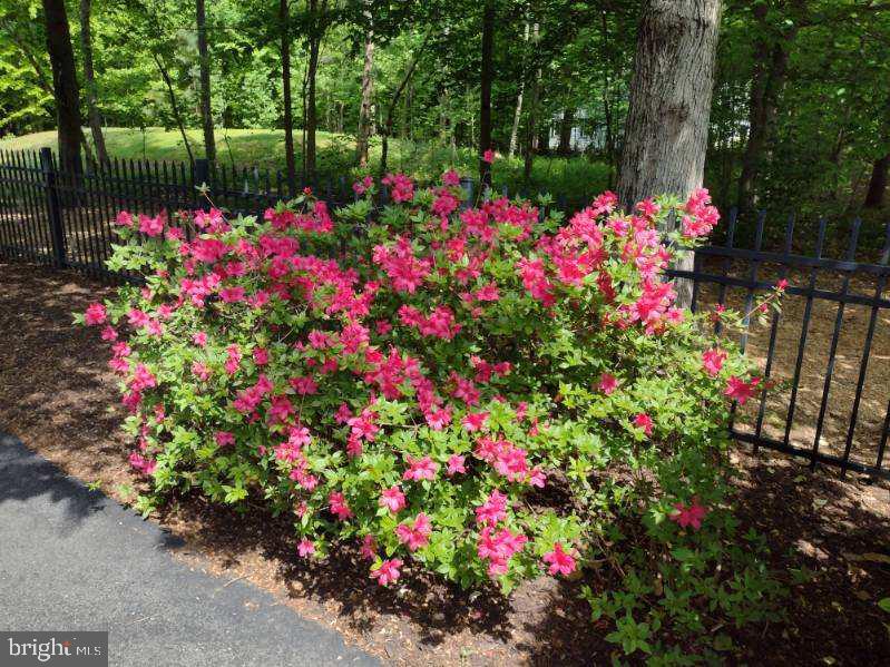 MCKENNEY FOREST - Residential