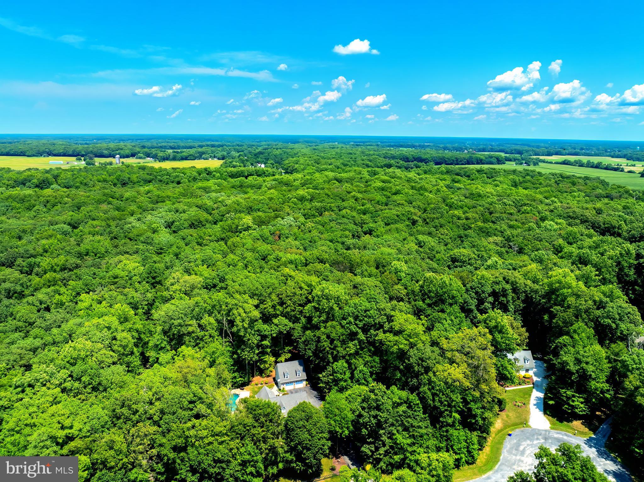MCKENNEY FOREST - Residential