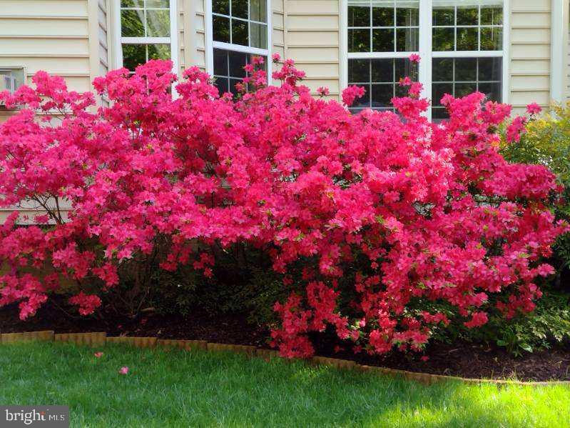 MCKENNEY FOREST - Residential